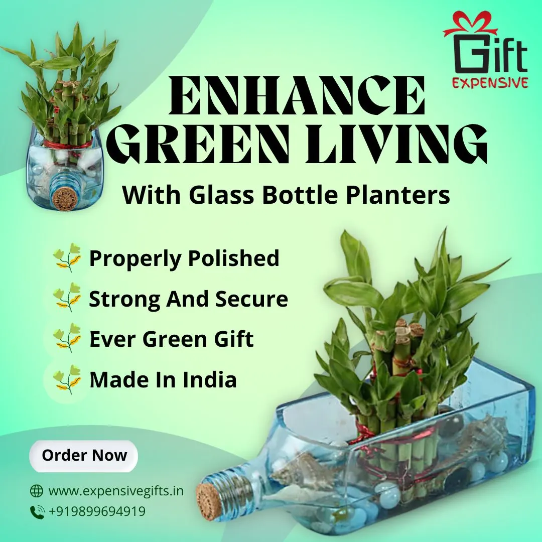 Enhance Green Living with Glass Bottle Planters Enhance Green Living with Glass Bottle Planters